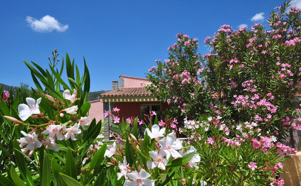 Affittacamere B&B La Villa Dei Graniti 维拉西米乌斯 外观 照片