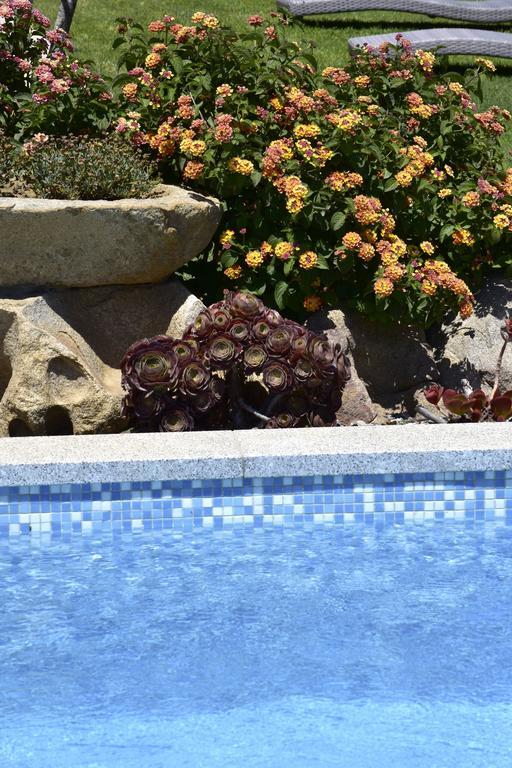 Affittacamere B&B La Villa Dei Graniti 维拉西米乌斯 外观 照片